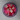 Sweeta - Flower Rock Boiled Sweets
