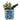 Holly Floral Planter Blue
