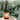 Joy John Wines